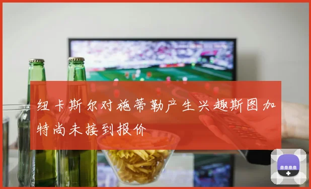 纽卡斯尔对施蒂勒产生兴趣斯图加特尚未接到报价
