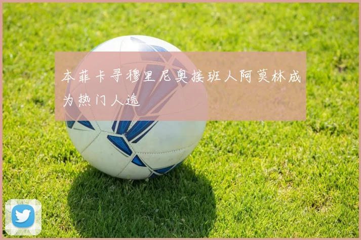 本菲卡寻穆里尼奥接班人阿莫林成为热门人选