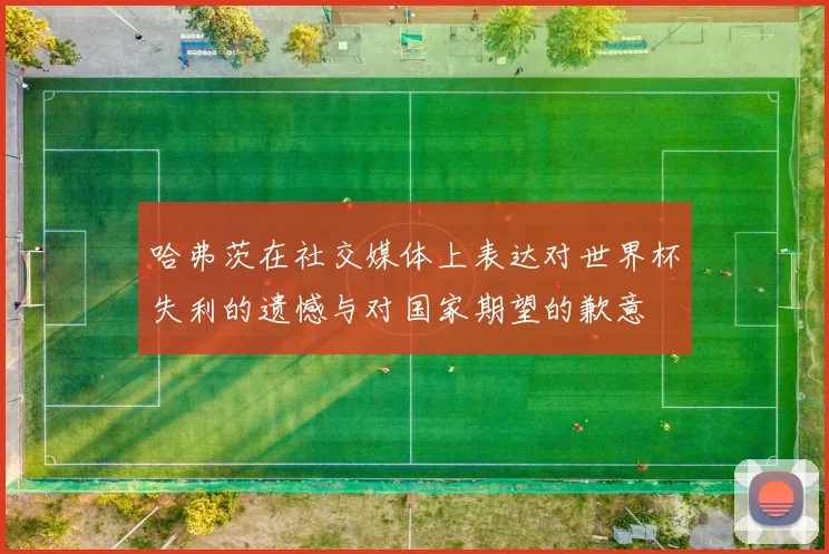 哈弗茨在社交媒体上表达对世界杯失利的遗憾与对国家期望的歉意